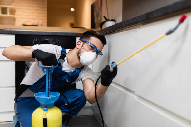 Pest Control for Restaurants in Wright City, MO