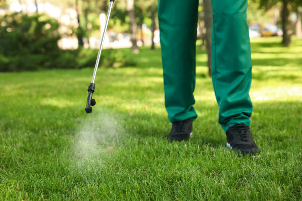 Best Pest Prevention Services  in Wright City, MO