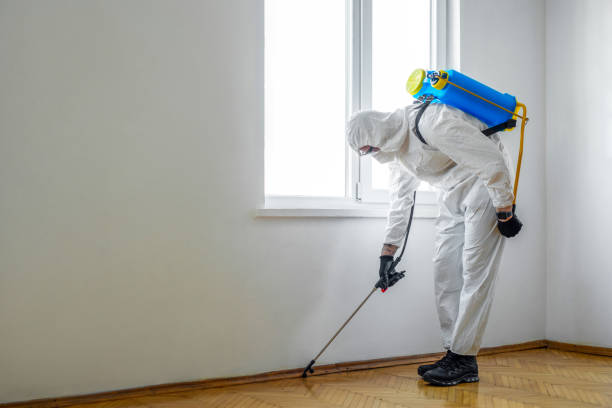 Trusted Wright City, MO Pest Control Experts