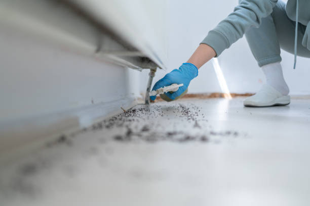 Best Exterminator Services  in Wright City, MO